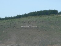 Нижний Иргинск 2009 (5/21)