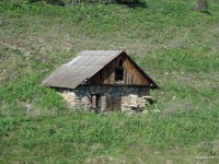 Нижний Иргинск 2009 (10/21)