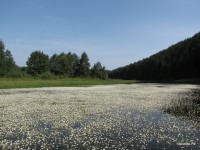 Нижний Иргинск 2010 (28/33)