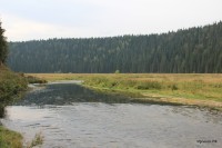 Вакутин (Серый) камень (1/15)