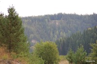 Вакутин (Серый) камень (3/15)