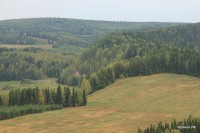 Вакутин (Серый) камень (11/15)
