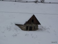 Нижний Иргинск 2011 (7/20)