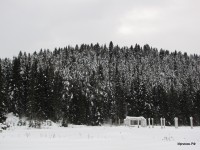 Нижний Иргинск 2011 (14/20)