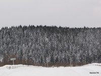 Нижний Иргинск 2011 (16/20)