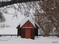 Нижний Иргинск 2011 (18/20)