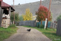 Нижний Иргинск 2012 (6/24)